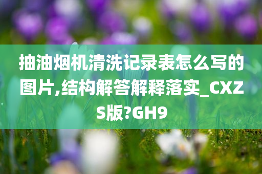 抽油烟机清洗记录表怎么写的图片,结构解答解释落实_CXZS版?GH9