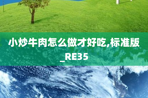 小炒牛肉怎么做才好吃,标准版_RE35