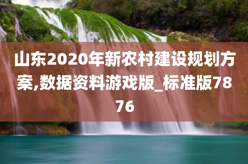 山东2020年新农村建设规划方案,数据资料游戏版_标准版7876