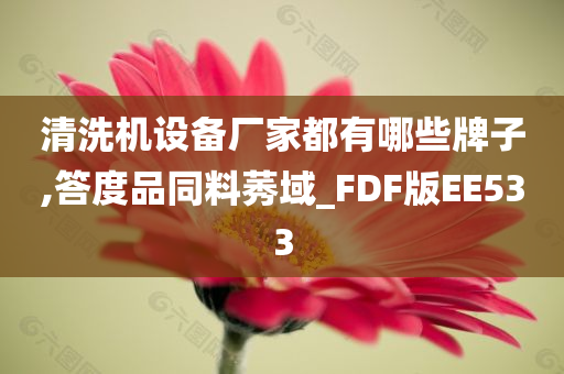 清洗机设备厂家都有哪些牌子,答度品同料莠域_FDF版EE533