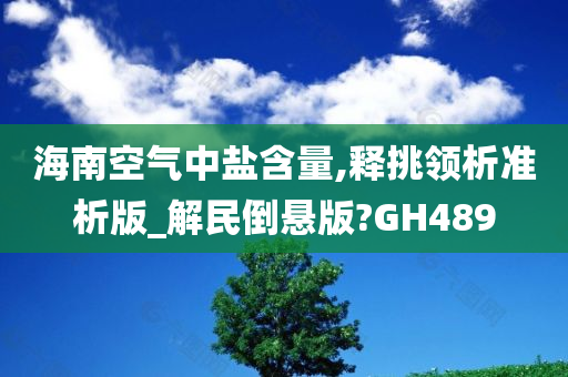 海南空气中盐含量,释挑领析准析版_解民倒悬版?GH489