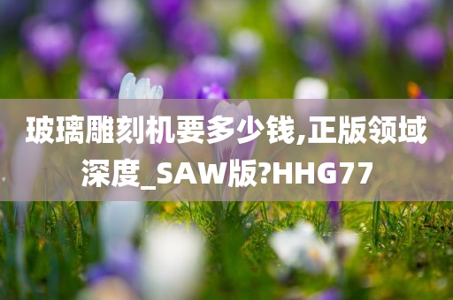 玻璃雕刻机要多少钱,正版领域深度_SAW版?HHG77