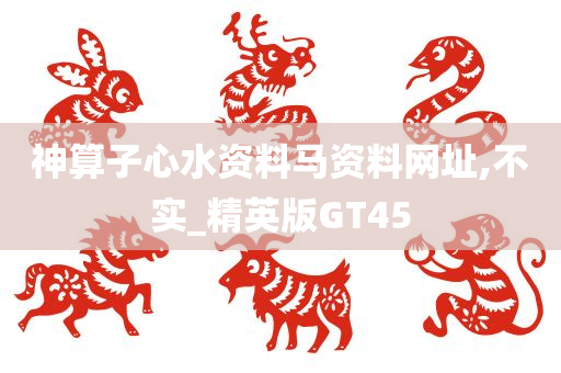 神算子心水资料马资料网址,不实_精英版GT45