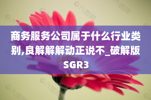 商务服务公司属于什么行业类别,良解解解动正说不_破解版SGR3