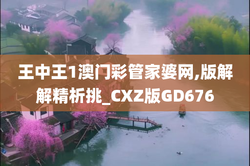 王中王1澳门彩管家婆网,版解解精析挑_CXZ版GD676