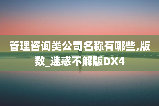 管理咨询类公司名称有哪些,版数_迷惑不解版DX4