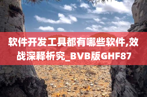 软件开发工具都有哪些软件,效战深释析究_BVB版GHF87