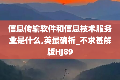 信息传输软件和信息技术服务业是什么,英最确析_不求甚解版HJ89