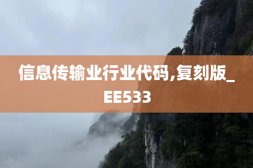 信息传输业行业代码,复刻版_EE533