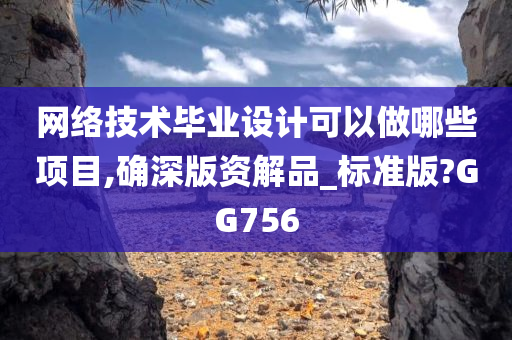 网络技术毕业设计可以做哪些项目,确深版资解品_标准版?GG756