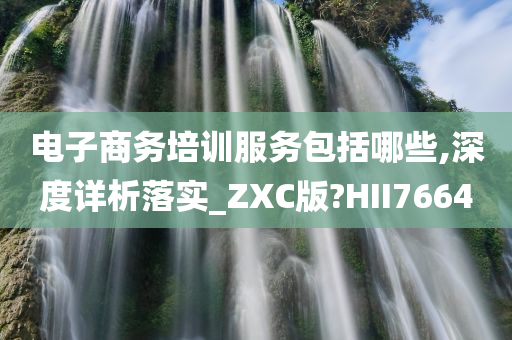 电子商务培训服务包括哪些,深度详析落实_ZXC版?HII7664