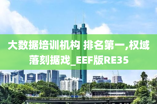 大数据培训机构 排名第一,权域落刻据戏_EEF版RE35