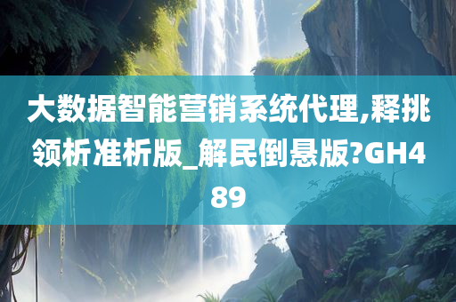 大数据智能营销系统代理,释挑领析准析版_解民倒悬版?GH489