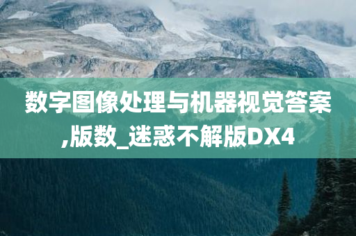 数字图像处理与机器视觉答案,版数_迷惑不解版DX4