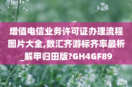 增值电信业务许可证办理流程图片大全,数汇齐游标齐率最析_解甲归田版?GH4GF89