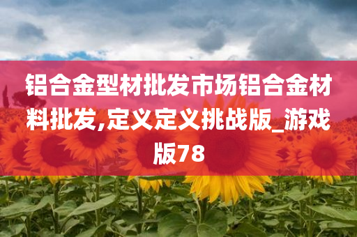 铝合金型材批发市场铝合金材料批发,定义定义挑战版_游戏版78