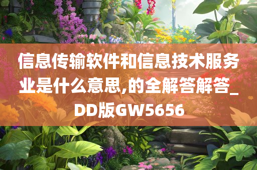 信息传输软件和信息技术服务业是什么意思,的全解答解答_DD版GW5656