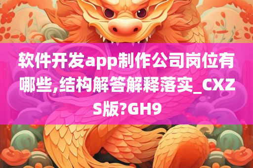 软件开发app制作公司岗位有哪些,结构解答解释落实_CXZS版?GH9