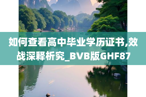 如何查看高中毕业学历证书,效战深释析究_BVB版GHF87