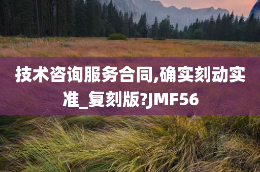 技术咨询服务合同,确实刻动实准_复刻版?JMF56