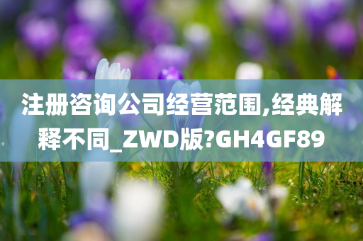 注册咨询公司经营范围,经典解释不同_ZWD版?GH4GF89