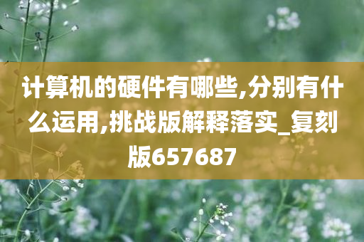 计算机的硬件有哪些,分别有什么运用,挑战版解释落实_复刻版657687