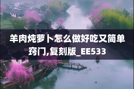 羊肉炖萝卜怎么做好吃又简单窍门,复刻版_EE533