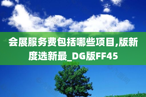 会展服务费包括哪些项目,版新度选新最_DG版FF45