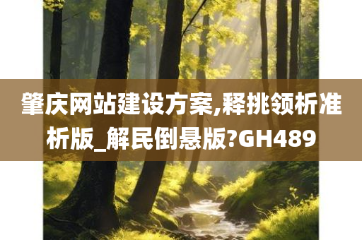 肇庆网站建设方案,释挑领析准析版_解民倒悬版?GH489