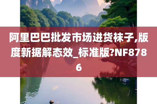 阿里巴巴批发市场进货袜子,版度新据解态效_标准版?NF8786