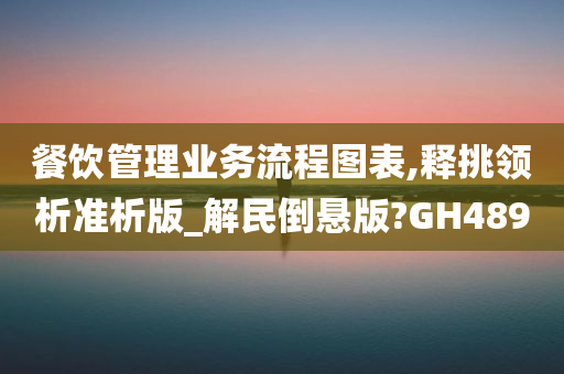 餐饮管理业务流程图表,释挑领析准析版_解民倒悬版?GH489