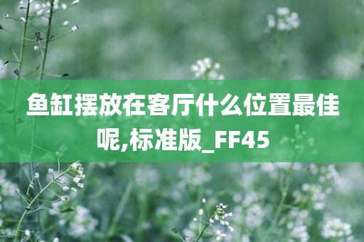 鱼缸摆放在客厅什么位置最佳呢,标准版_FF45