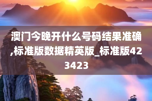 澳门今晚开什么号码结果准确,标准版数据精英版_标准版423423