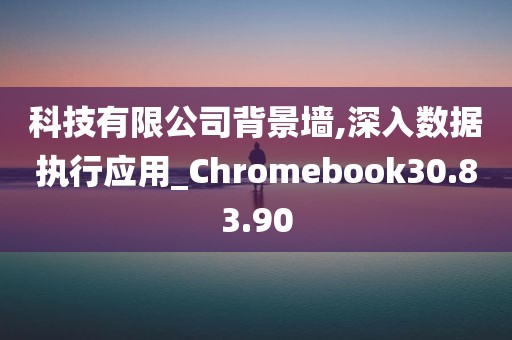 科技有限公司背景墙,深入数据执行应用_Chromebook30.83.90