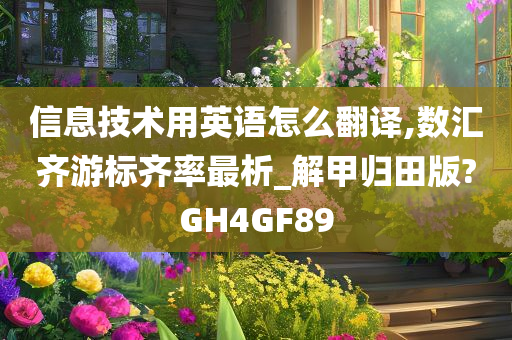 信息技术用英语怎么翻译,数汇齐游标齐率最析_解甲归田版?GH4GF89