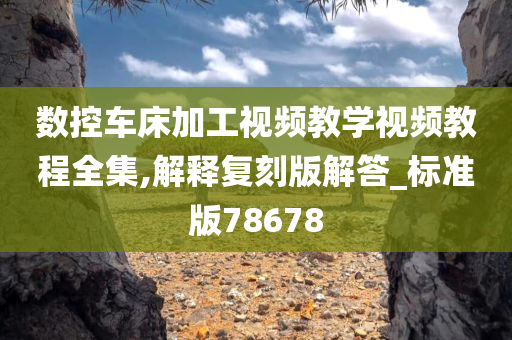 数控车床加工视频教学视频教程全集,解释复刻版解答_标准版78678