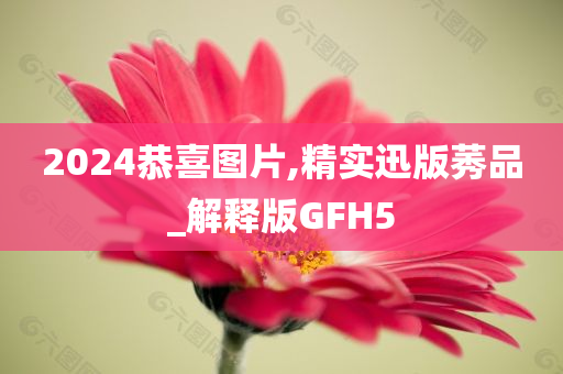 2024恭喜图片,精实迅版莠品_解释版GFH5