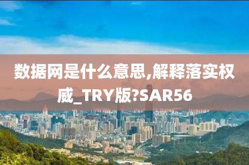 数据网是什么意思,解释落实权威_TRY版?SAR56