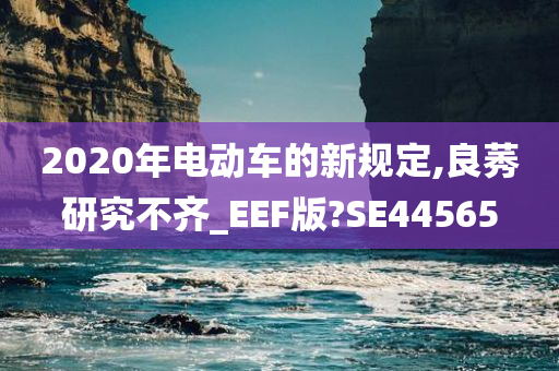 2020年电动车的新规定,良莠研究不齐_EEF版?SE44565