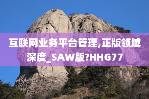 互联网业务平台管理,正版领域深度_SAW版?HHG77