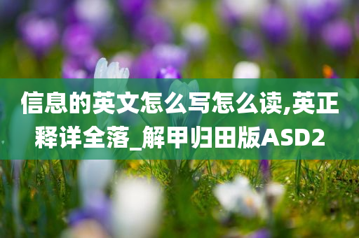 信息的英文怎么写怎么读,英正释详全落_解甲归田版ASD2