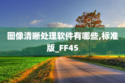 图像清晰处理软件有哪些,标准版_FF45