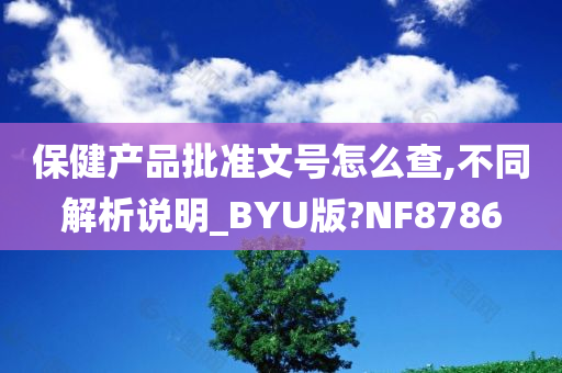 保健产品批准文号怎么查,不同解析说明_BYU版?NF8786