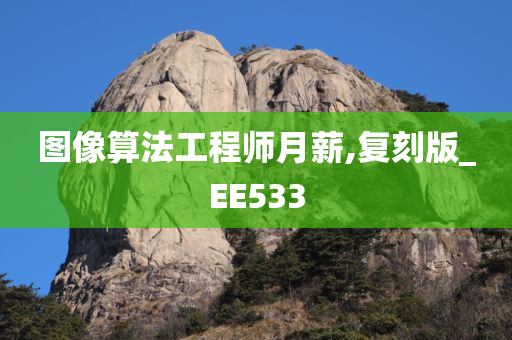 图像算法工程师月薪,复刻版_EE533