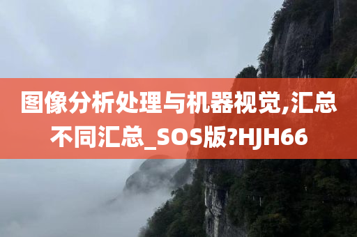 图像分析处理与机器视觉,汇总不同汇总_SOS版?HJH66