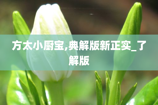 方太小厨宝,典解版新正实_了解版