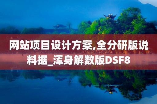 网站项目设计方案,全分研版说料据_浑身解数版DSF8