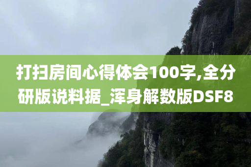 打扫房间心得体会100字,全分研版说料据_浑身解数版DSF8