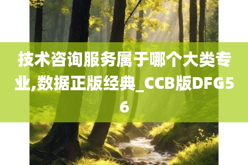 技术咨询服务属于哪个大类专业,数据正版经典_CCB版DFG56