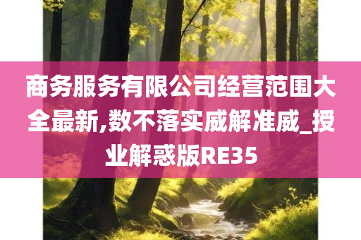 商务服务有限公司经营范围大全最新,数不落实威解准威_授业解惑版RE35